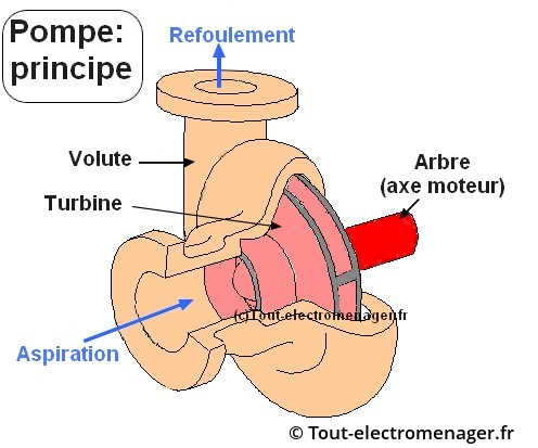 Pompe de cyclage: Volute et turbine